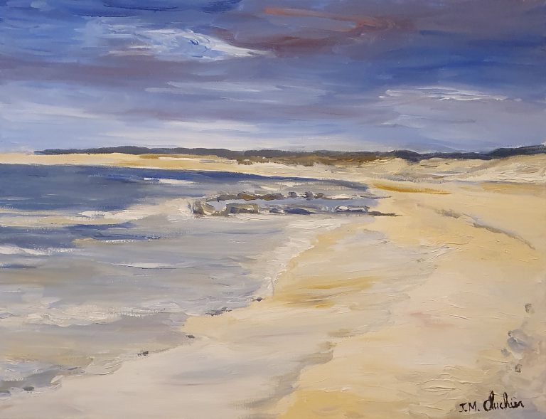 Bonne anse wild coast Acrylic on canvas 1999 (65 cm x 50 cm x 2 cm)