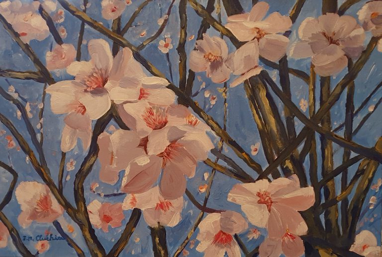 Beautiful almond blossoms Acrylic on canvas 2022 (65 cm x 50 cm x 2 cm)